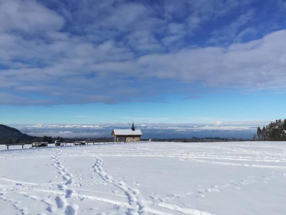 Appartement Vue Sur Le Golf Et Le Lac Leman Publier Exterior foto
